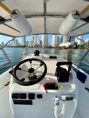 Singlar 290 Plus | Bellamare