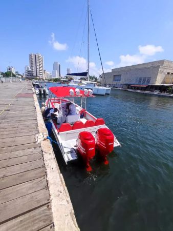 Bravo 280 | Paso a Paso