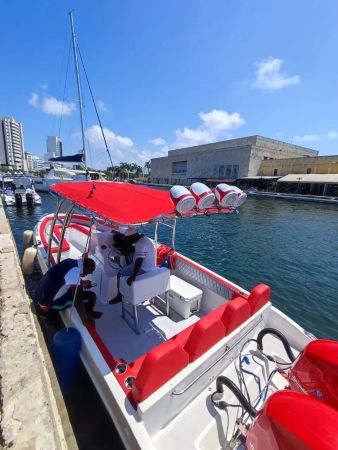 Bravo 280 | Paso a Paso