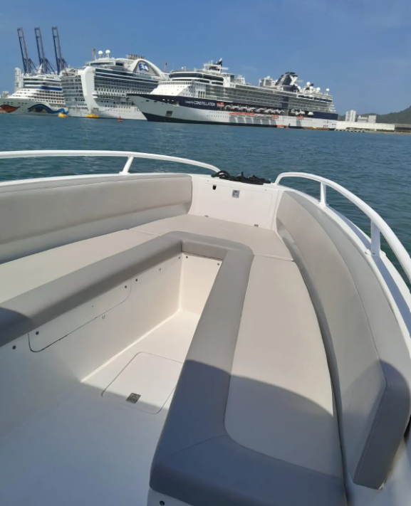 Bravo 280 | Victoria Regia 1