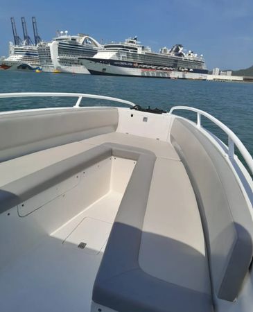 Bravo 280 | Victoria Regia 1
