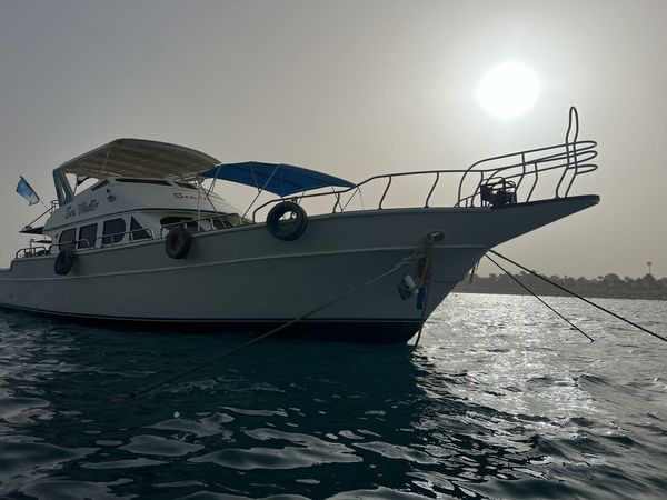Custom Built 65 | Sea Master