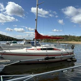 Maxi Fenix 28 | Vespula