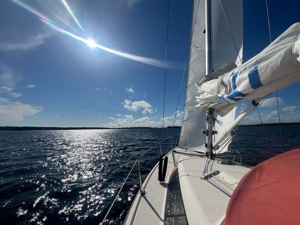 Maxi Fenix 28 | Vespula