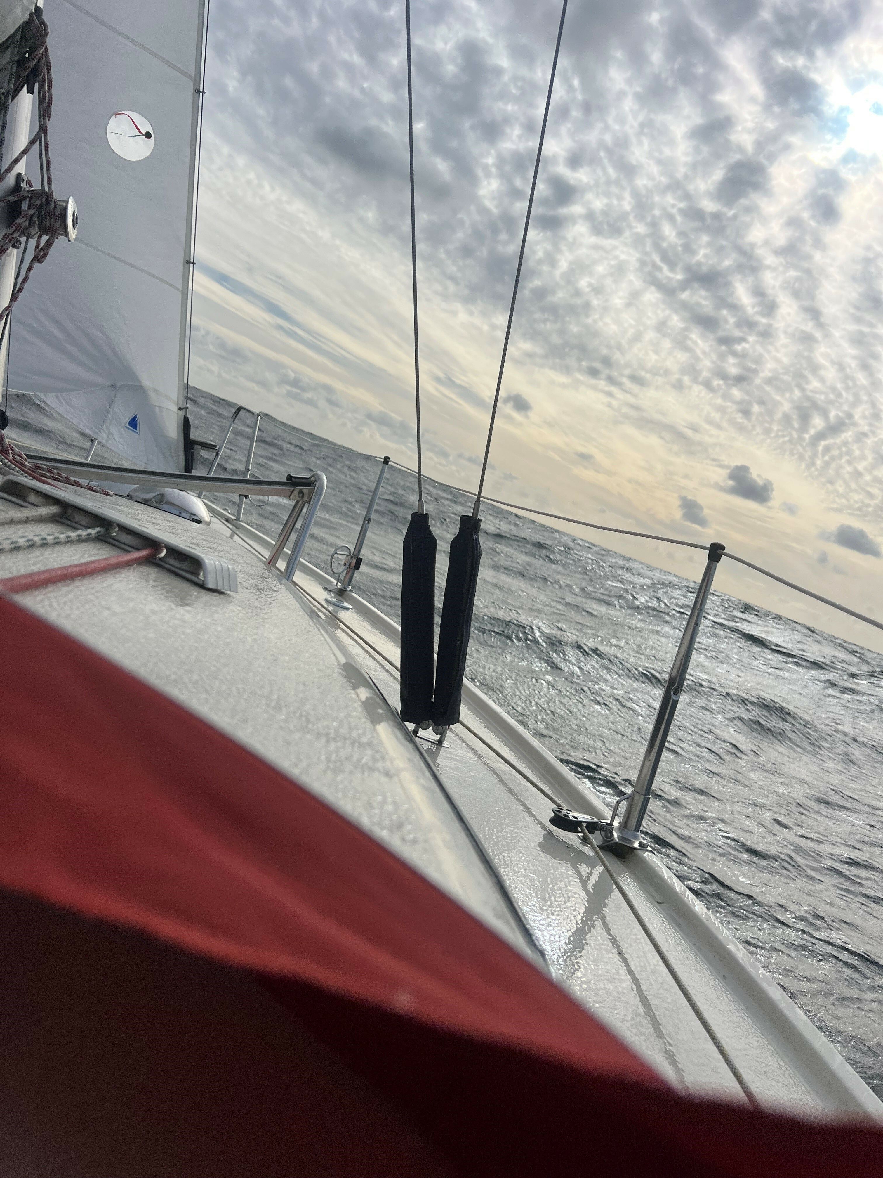 Maxi Fenix 28 | Vespula