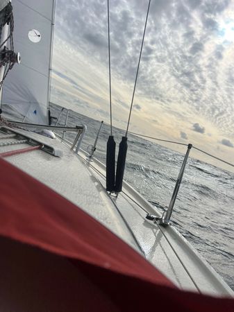 Maxi Fenix 28 | Vespula
