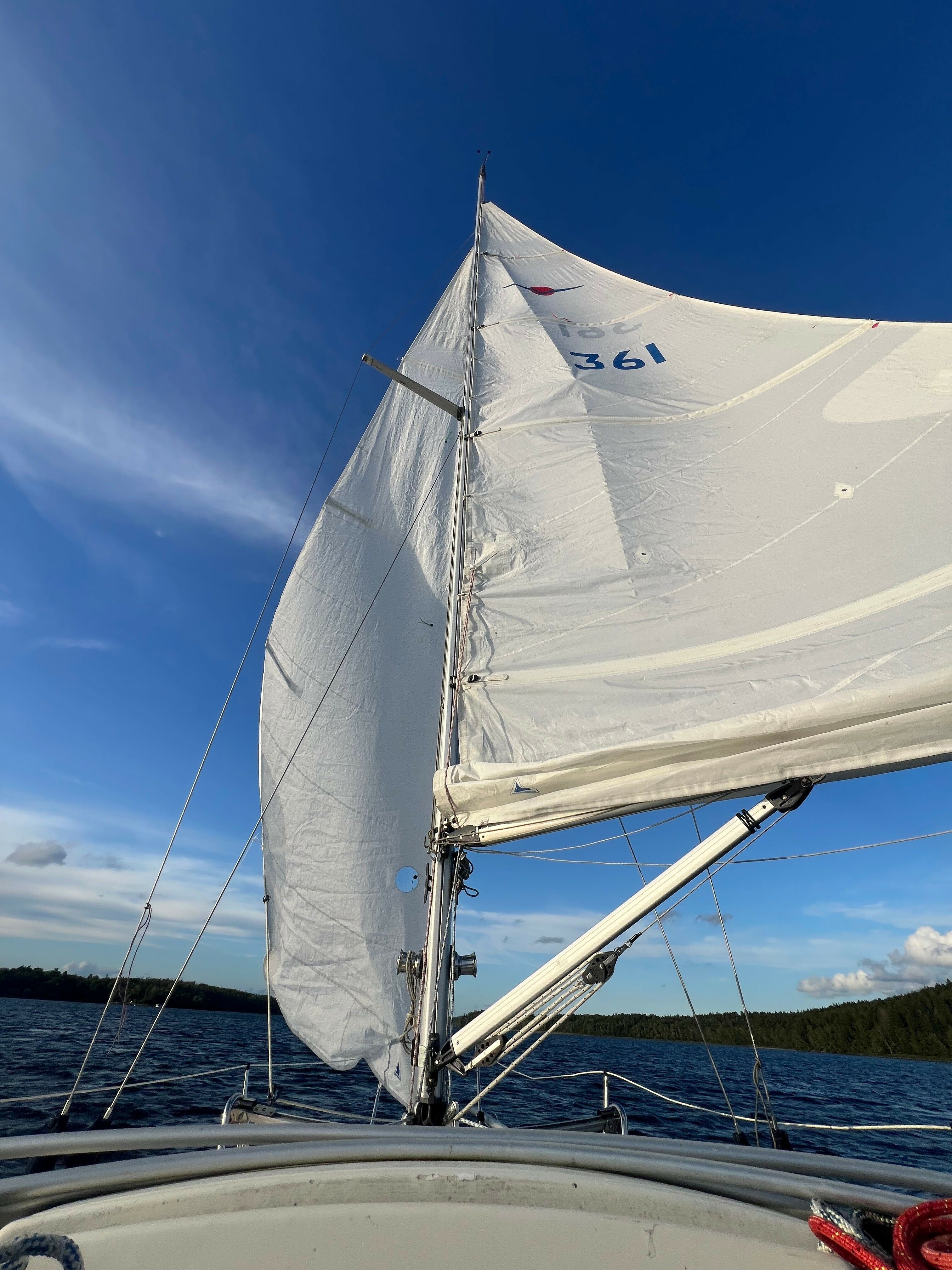 Maxi Fenix 28 | Vespula