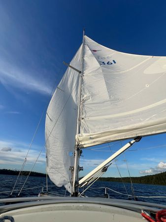 Maxi Fenix 28 | Vespula