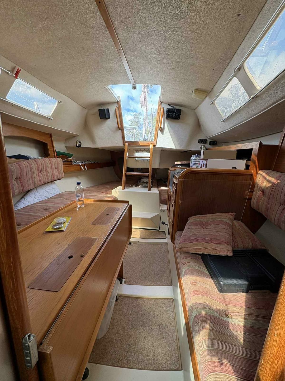 Maxi Fenix 28 | Vespula