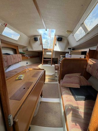 Maxi Fenix 28 | Vespula