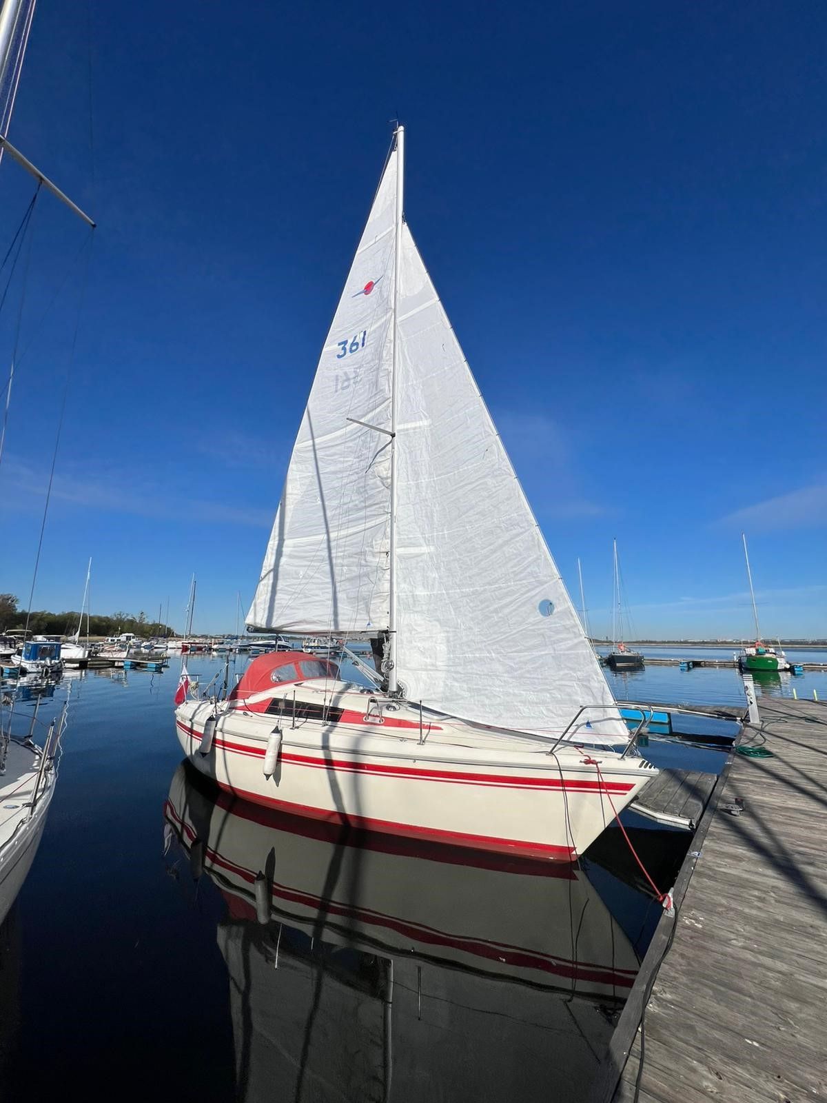 Maxi Fenix 28 | Vespula