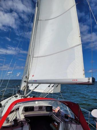 Dufour 310 | Ohana