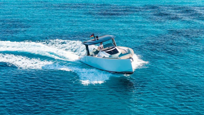 Tesoro T40 | Tigresa