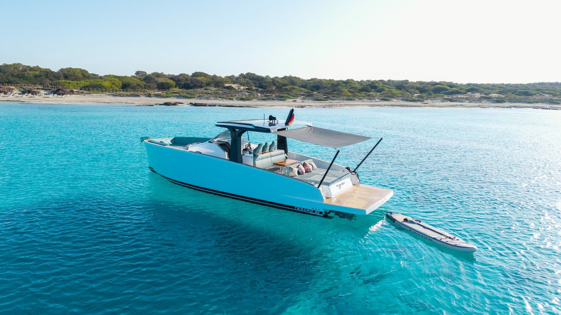 Tesoro T40 | Tigresa