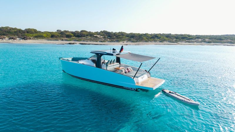 Tesoro T40 | Tigresa