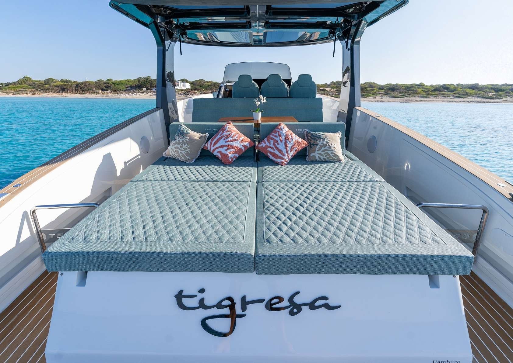 Tesoro T40 | Tigresa