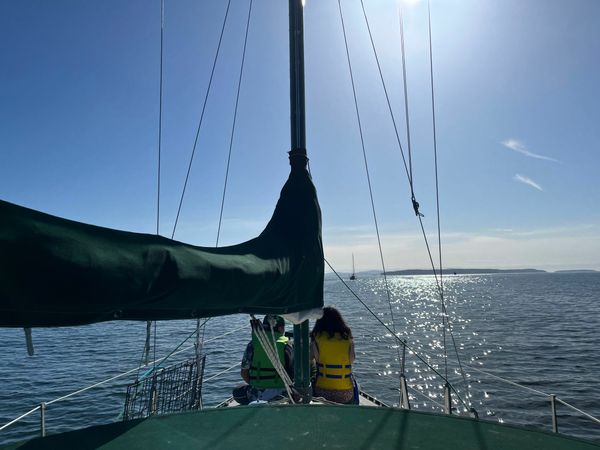 Albin 79 | Sea Renity