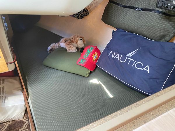 Albin 79 | Sea Renity