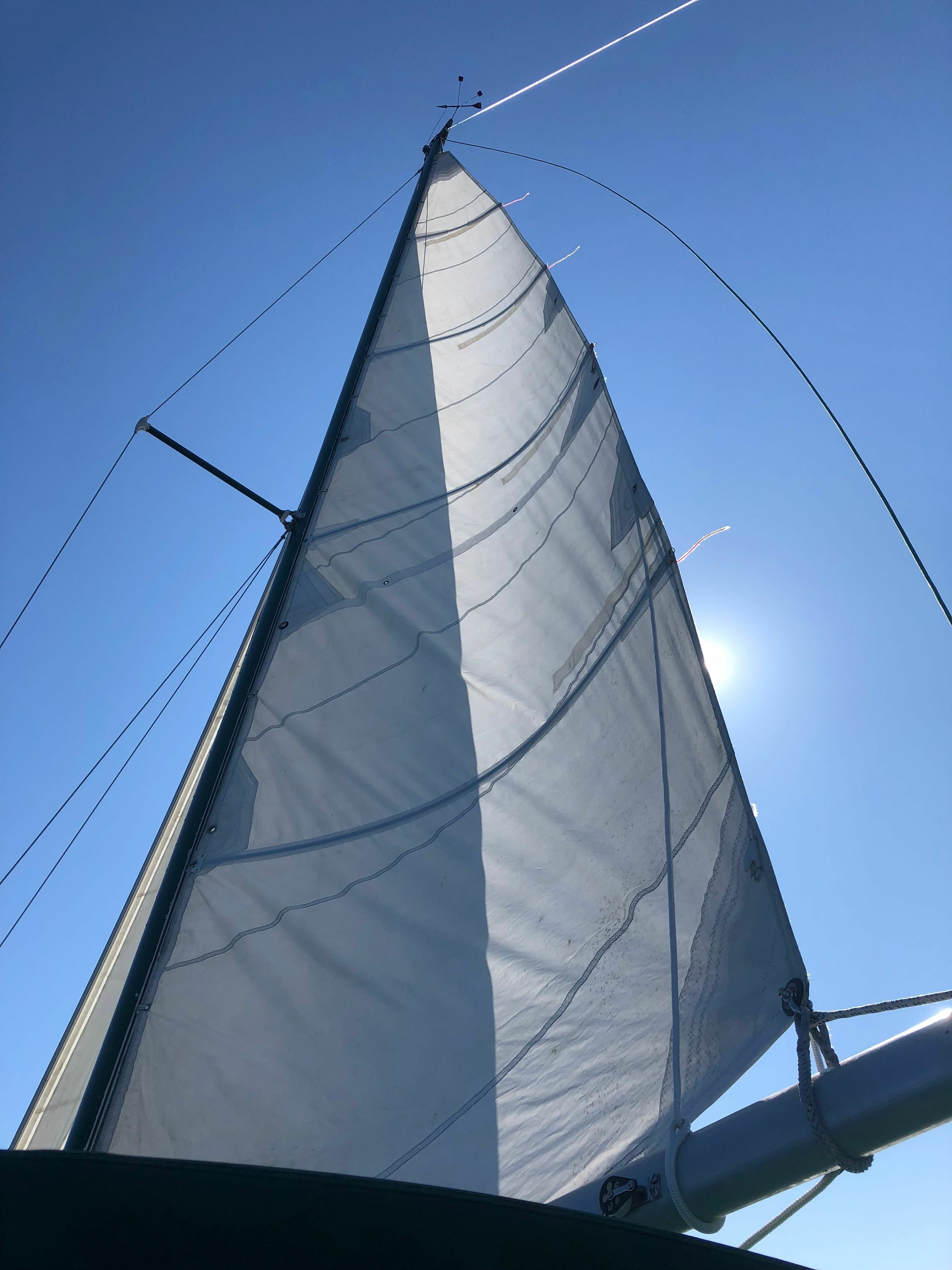 Albin 79 | Sea Renity