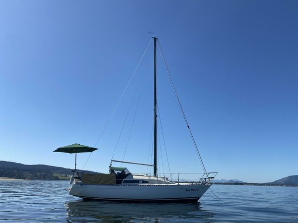 Albin 79 | Sea Renity