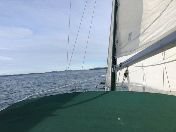 Albin 79 | Sea Renity