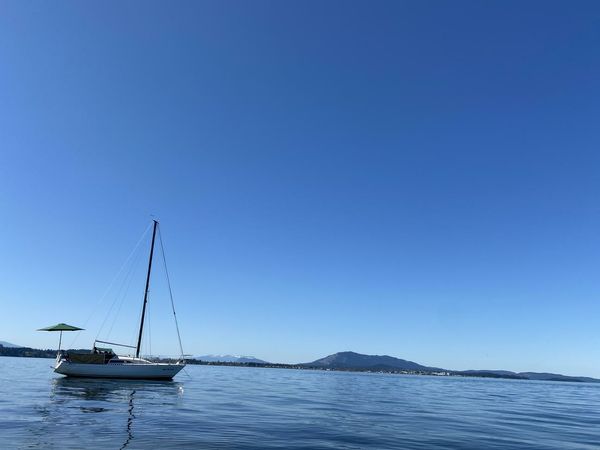 Albin 79 | Sea Renity