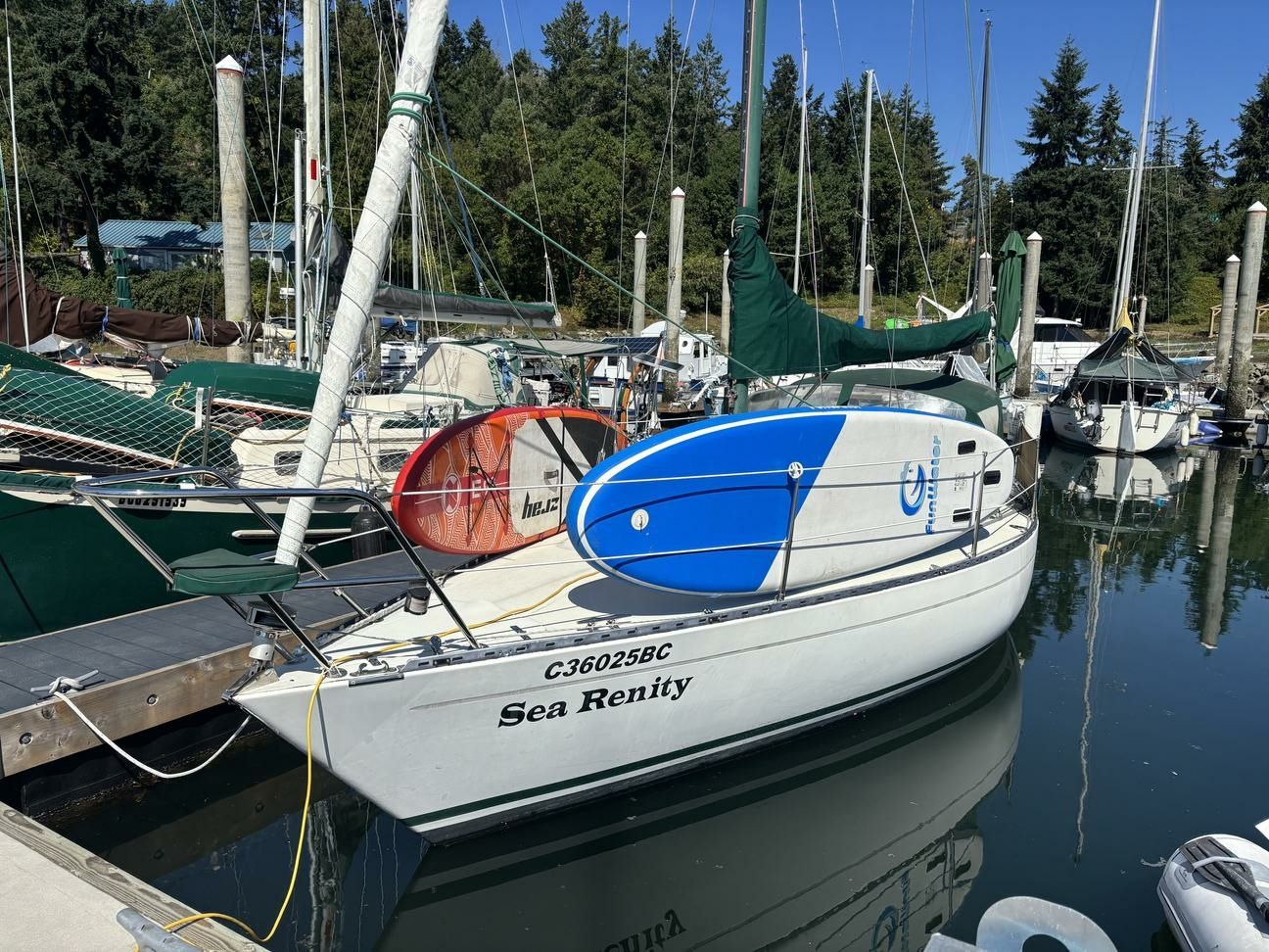 Albin 79 | Sea Renity