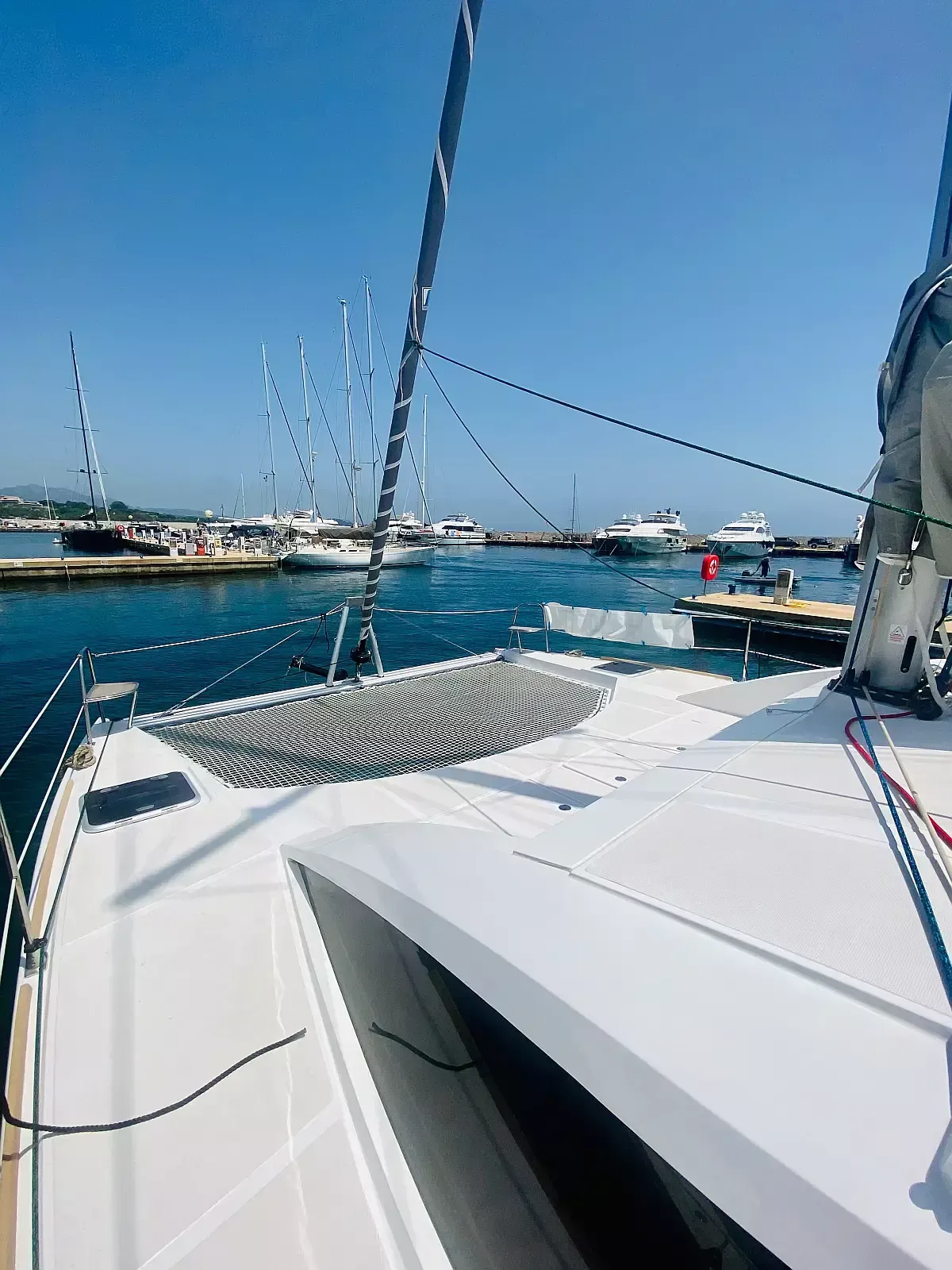 C Cat 37 | Altair