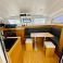 C Cat 37 | Altair