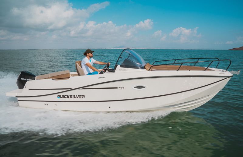 Quicksilver 755 | 25