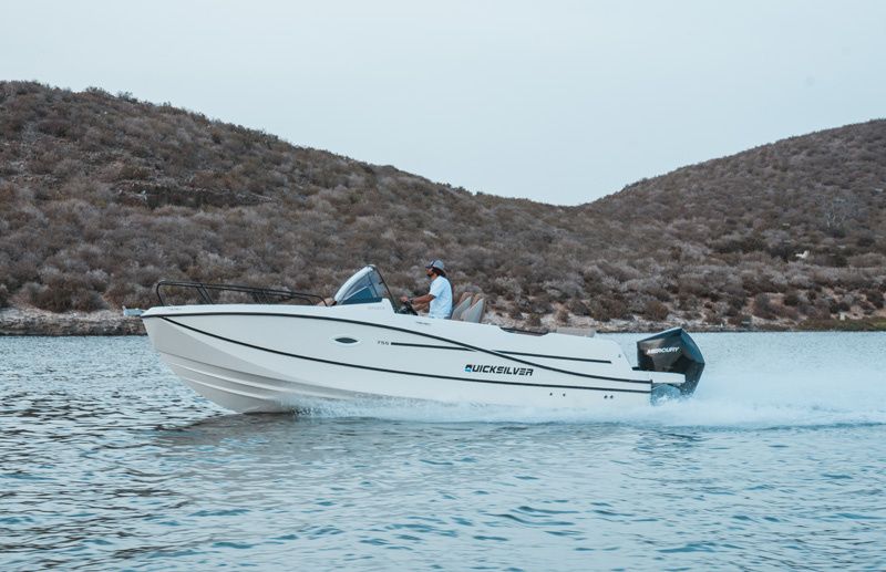 Quicksilver 755 | 25