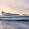 Mangusta 105 | Wet Panther