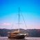 Gulet 52 | Cezire
