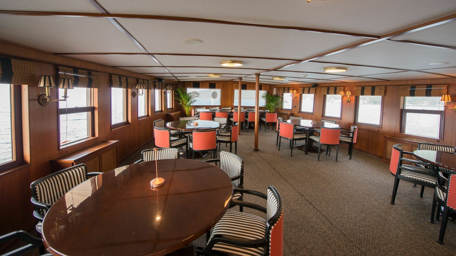 Custom Built 174 | Halas 71