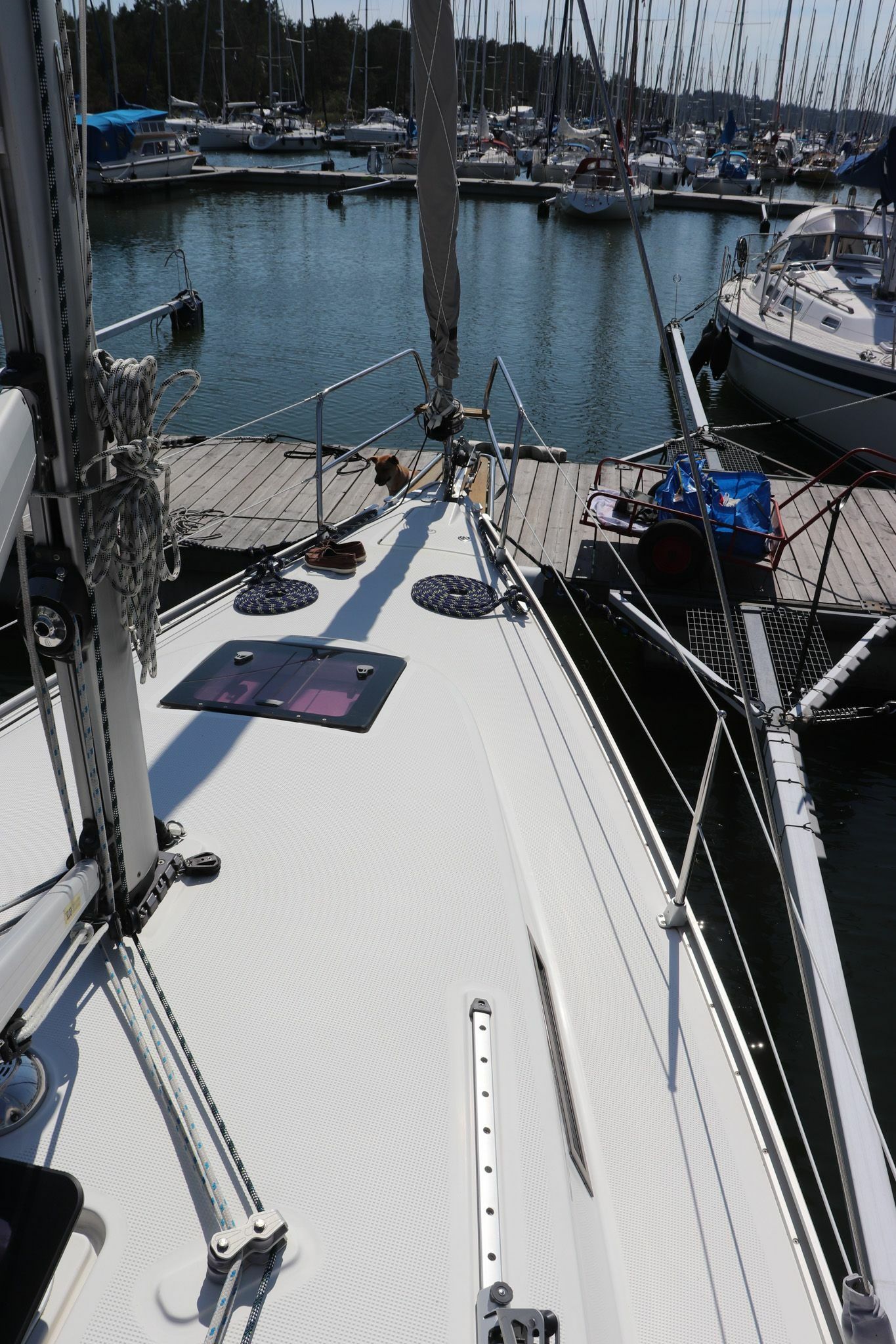 Bavaria Cruiser 32 | Stjarna