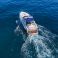 Sunseeker Mustique 42 | Dakota