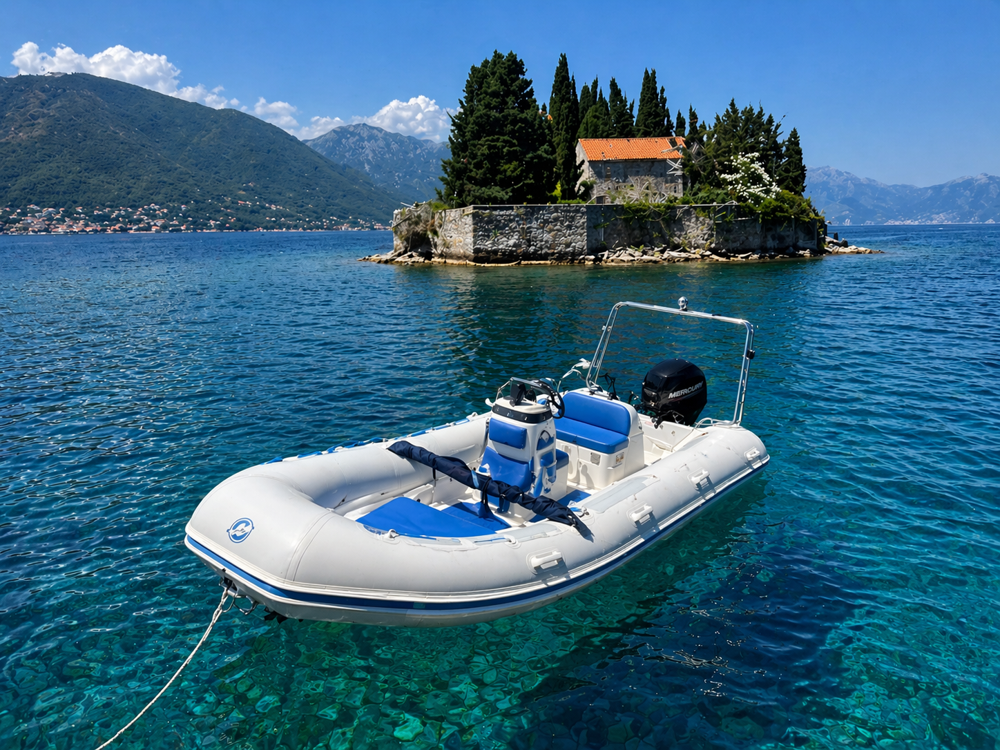 Mercury Ocean Runner 460 | 18