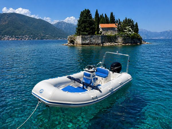Mercury Ocean Runner 460 | 18