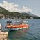 Canados 58 | Sofi