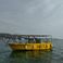 Seamaster 31 | Sofi 2