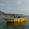 Seamaster 31 | Sofi 2