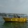 Seamaster 31 | Sofi 2