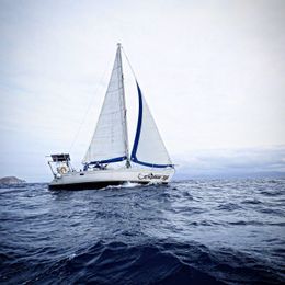 Olympic Yachts Sea 42 | Explor