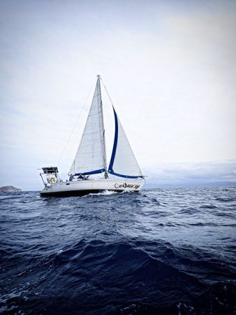 Olympic Yachts Sea 42 | Explor