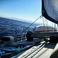 Olympic Yachts Sea 42 | Explor