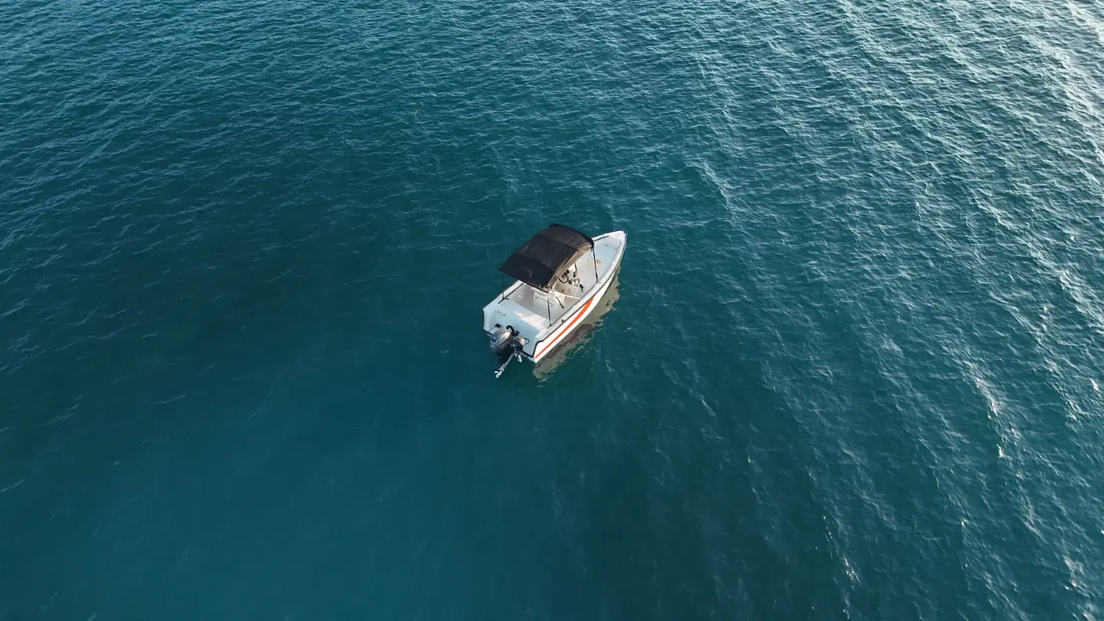 Trygons Redfin 49 | Bolt