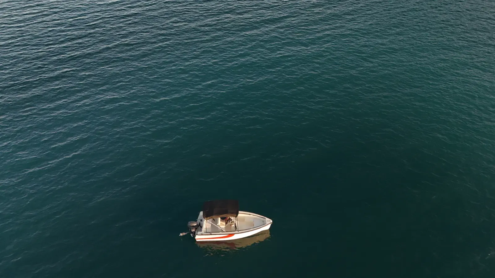 Trygons Redfin 49 | Bolt