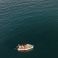 Trygons Redfin 49 | Bolt
