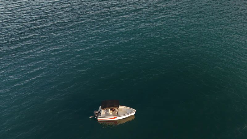 Trygons Redfin 49 | Bolt