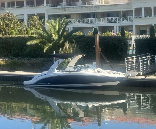 Chaparral Sunesta 264 | Kiwi